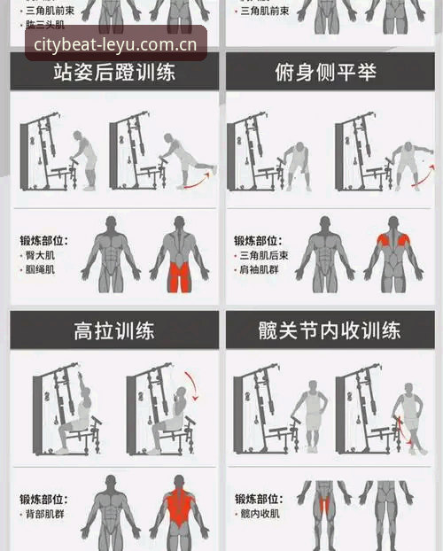 乐鱼体育平台城市律动功能操作教程，从盘口到主场弹幕的完整指南
